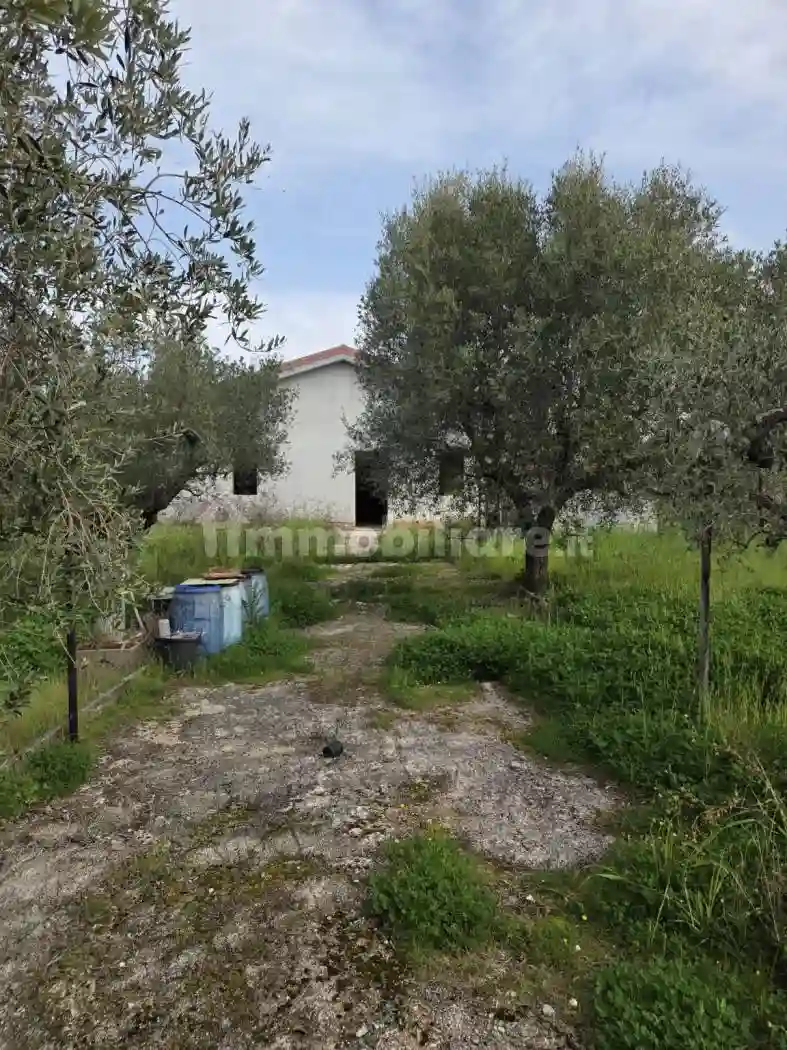 Rustico - Casale - foto 5