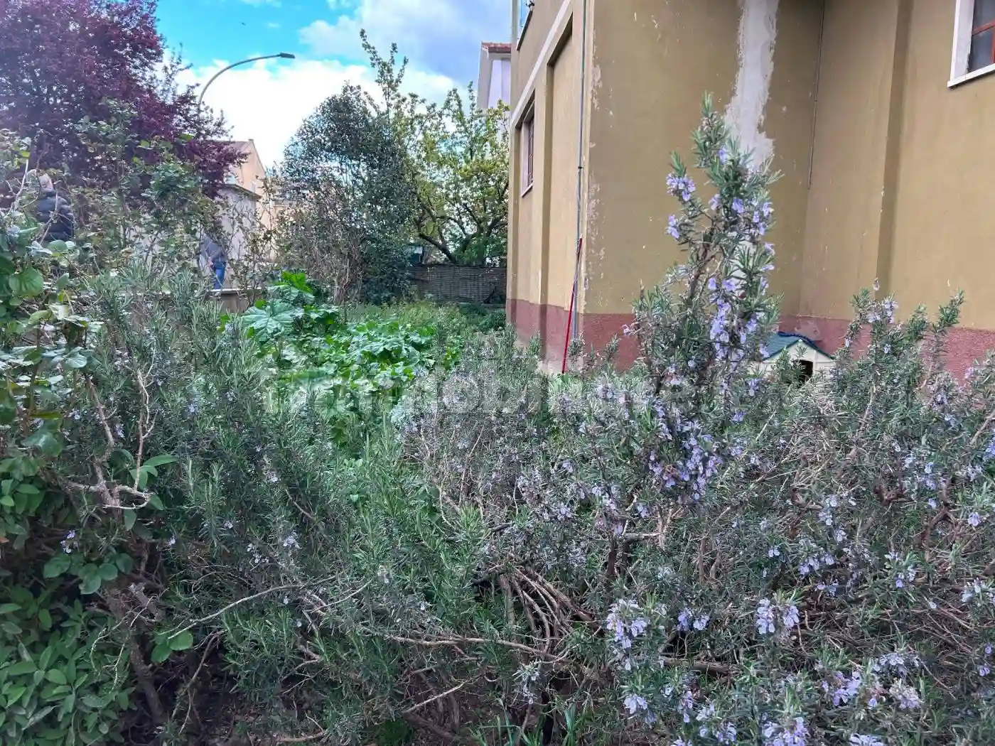 Palazzo - Edificio - foto 4