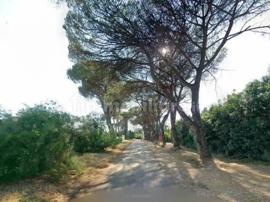 Villa in vendita a Roma