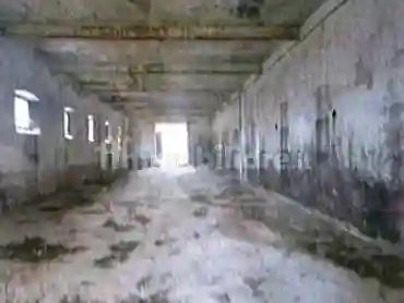 Palazzo - Stabile - foto 2