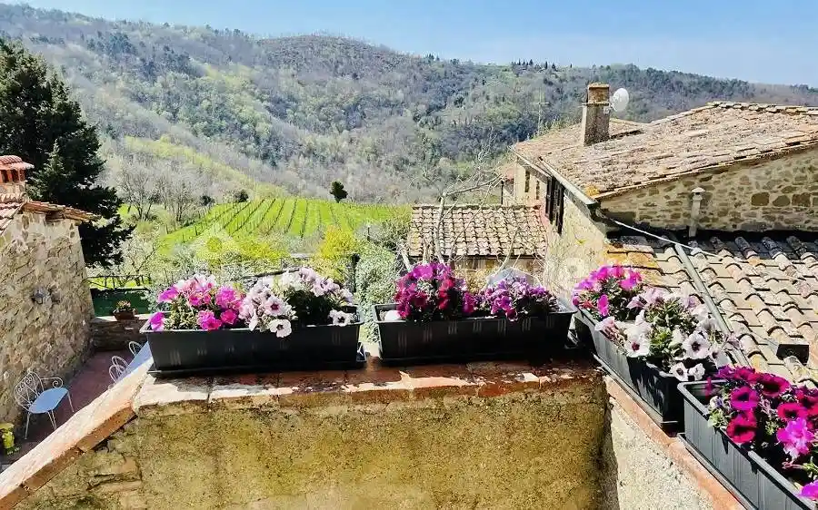 Rustico - Casale in vendita a Greve in Chianti