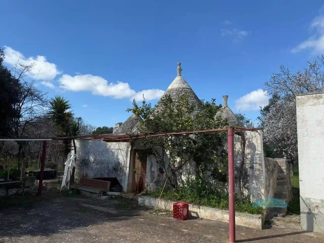 Rustico - Casale - foto 4