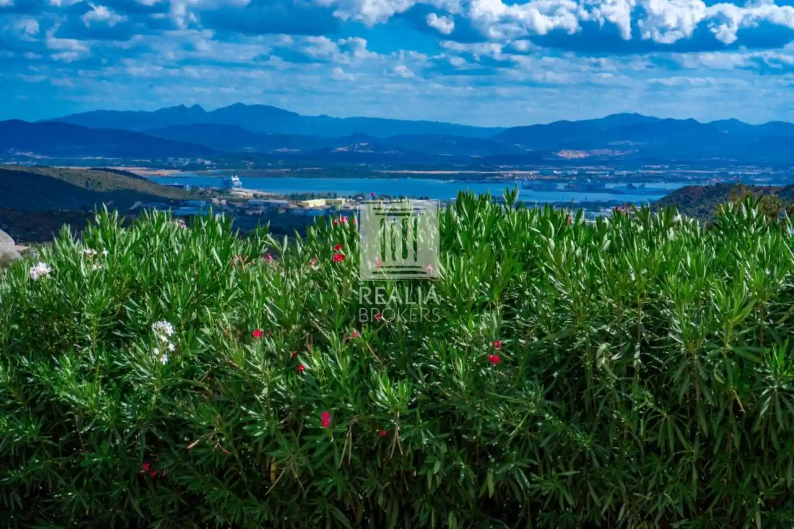 Villa in vendita a Olbia