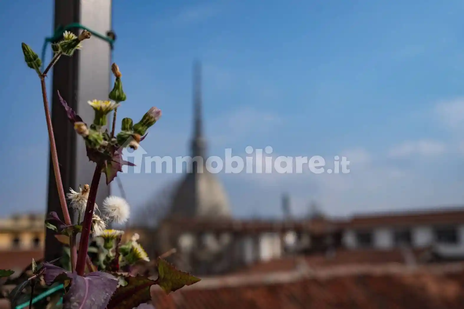 Loft in affitto a Torino