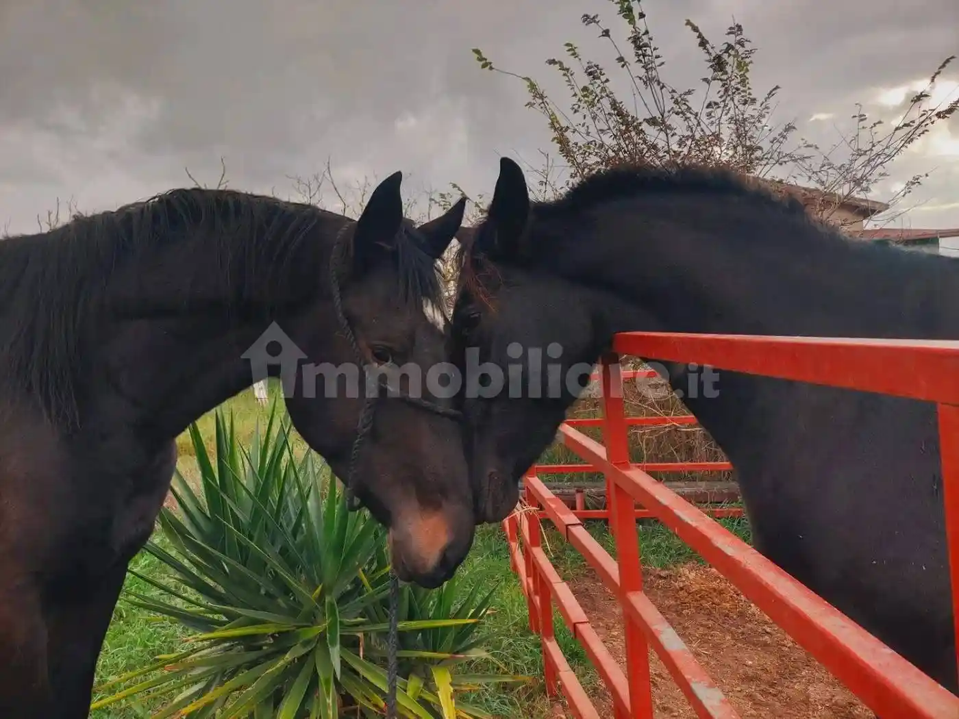 Villa in vendita a Nettuno