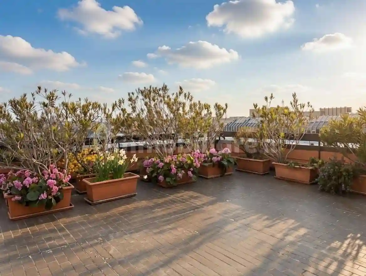 Attico - Mansarda - foto 4