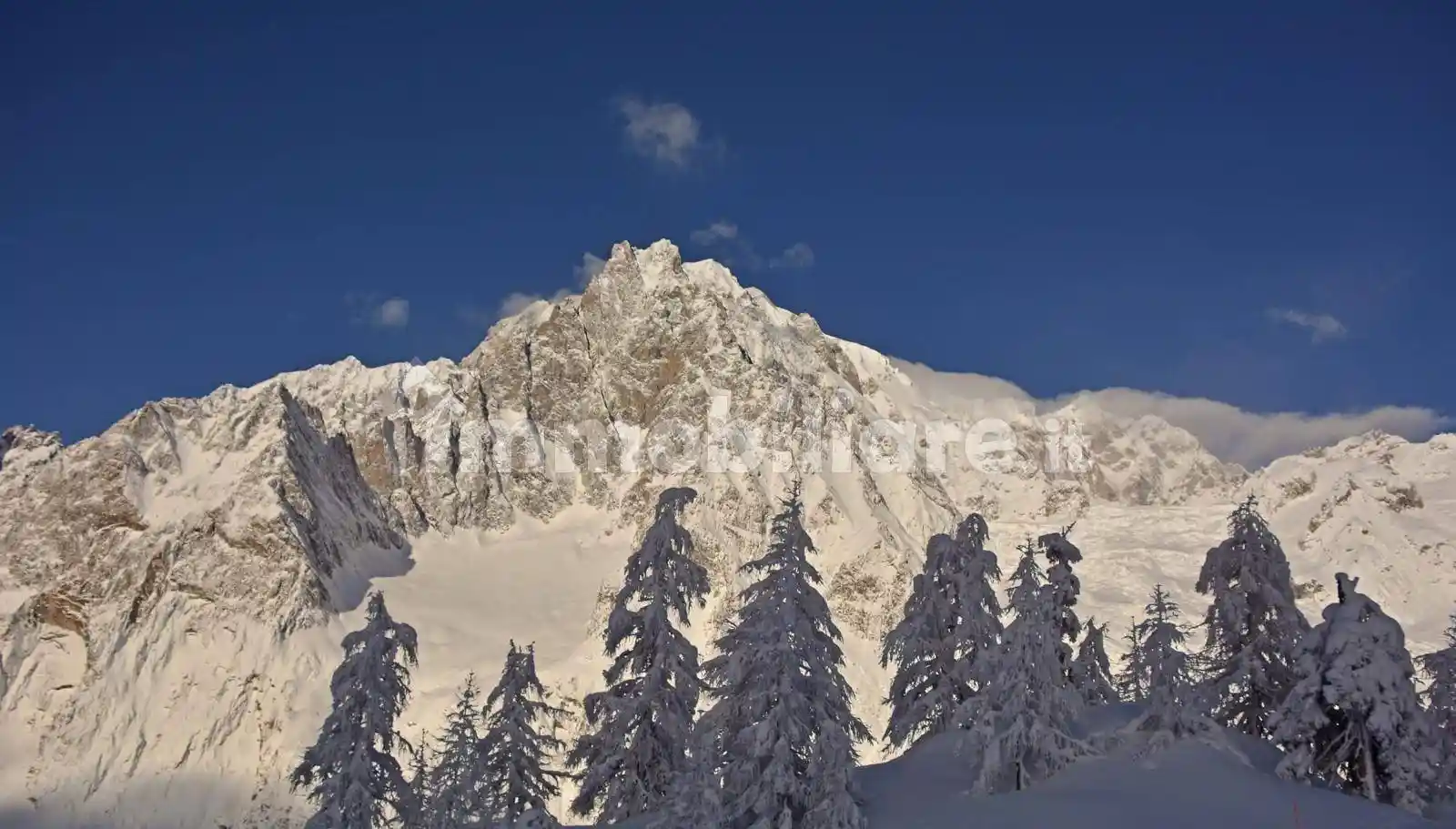 Appartamento in affitto a Courmayeur