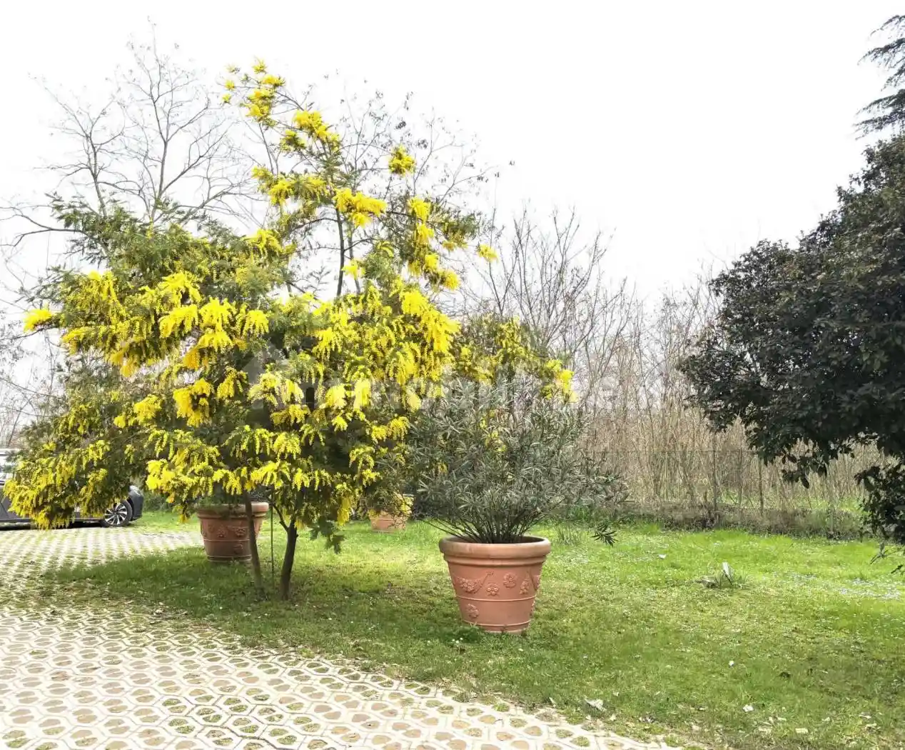 Appartamento in affitto a San Lazzaro di Savena