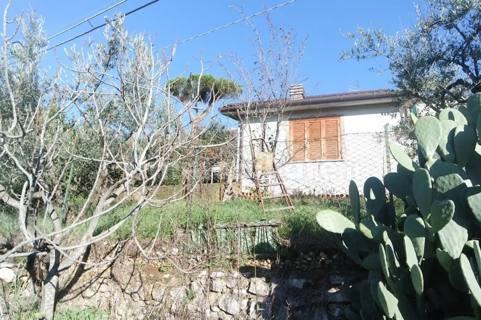 Rustico - Casale in vendita a Piglio