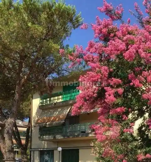 Appartamento in vendita a Massa