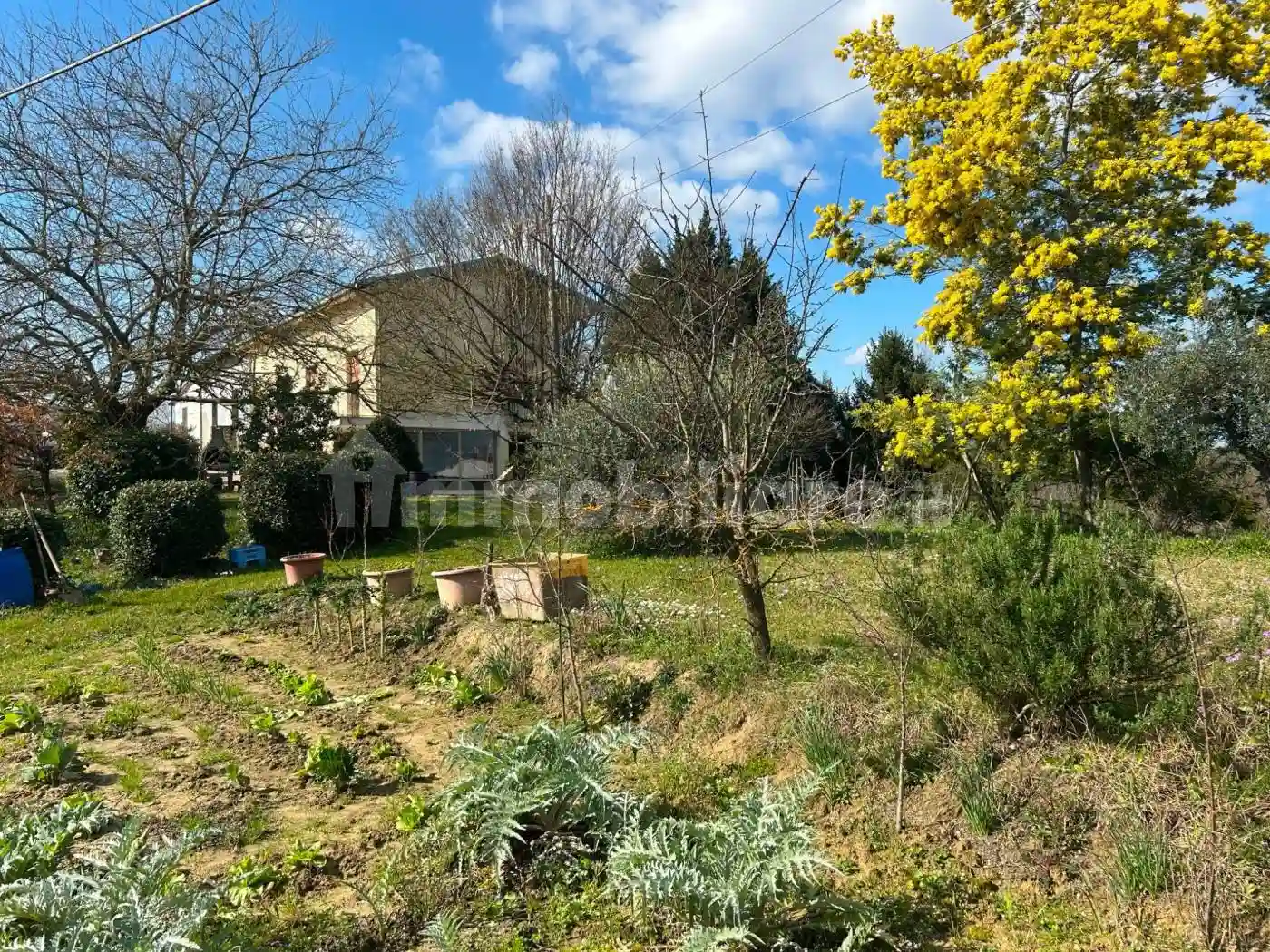 Rustico - Casale - foto 3