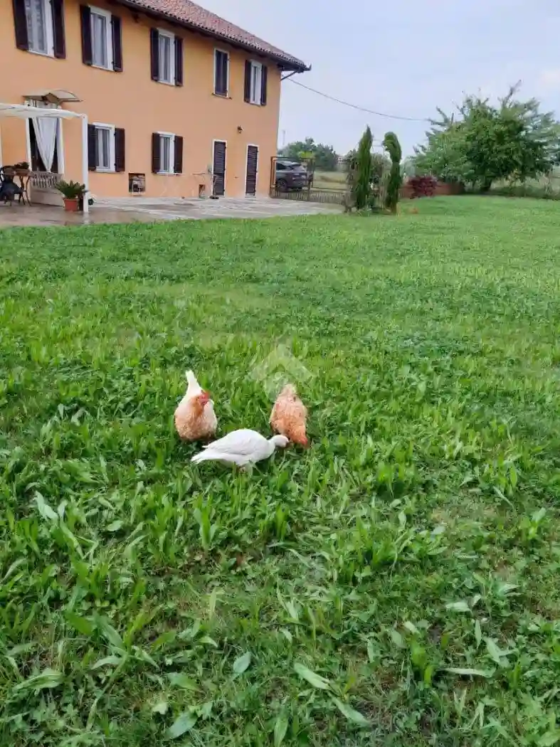 Casa indipendente - foto 2