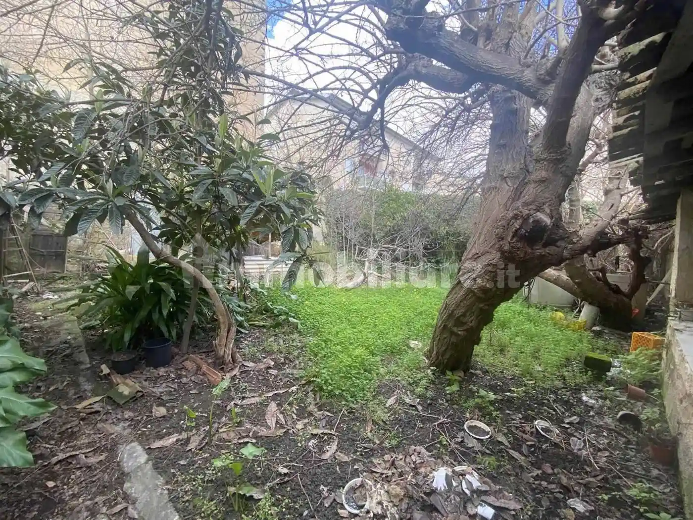 Casa indipendente in vendita a Camastra