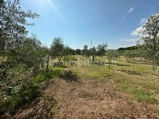 Appartamento in vendita a Gavorrano