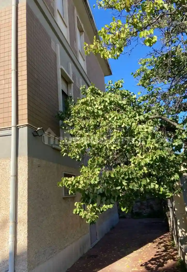 Palazzo - Edificio - foto 4