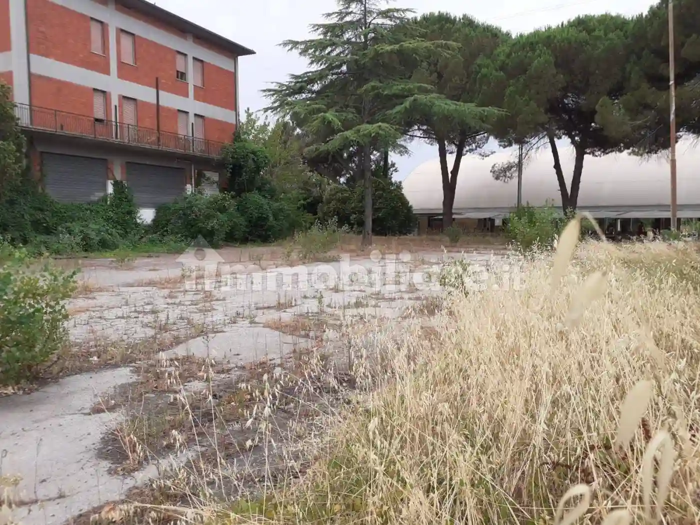 Palazzo - Edificio - foto 4