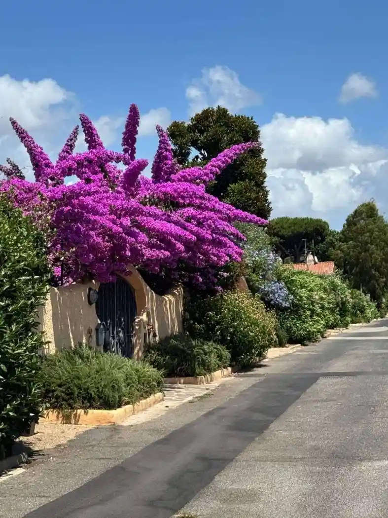 Villa in affitto a Ardea
