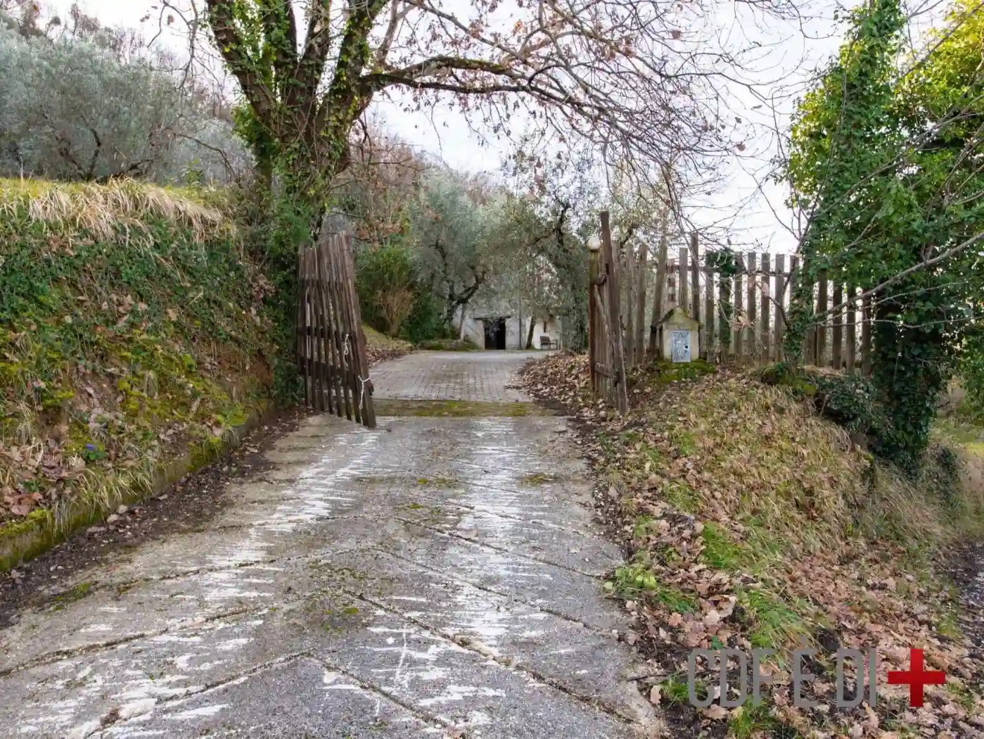 Rustico - Casale - foto 4