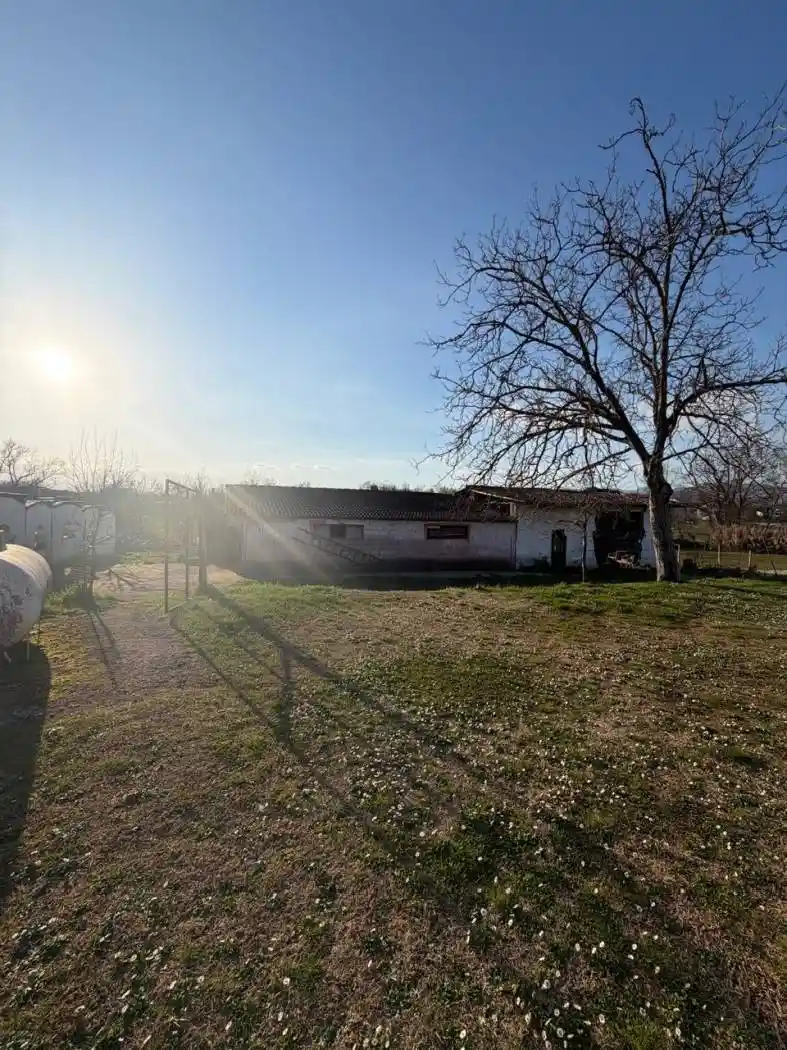 Rustico - Casale in vendita a Alatri