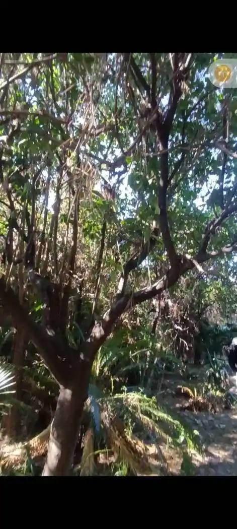 Villa in vendita a Caserta