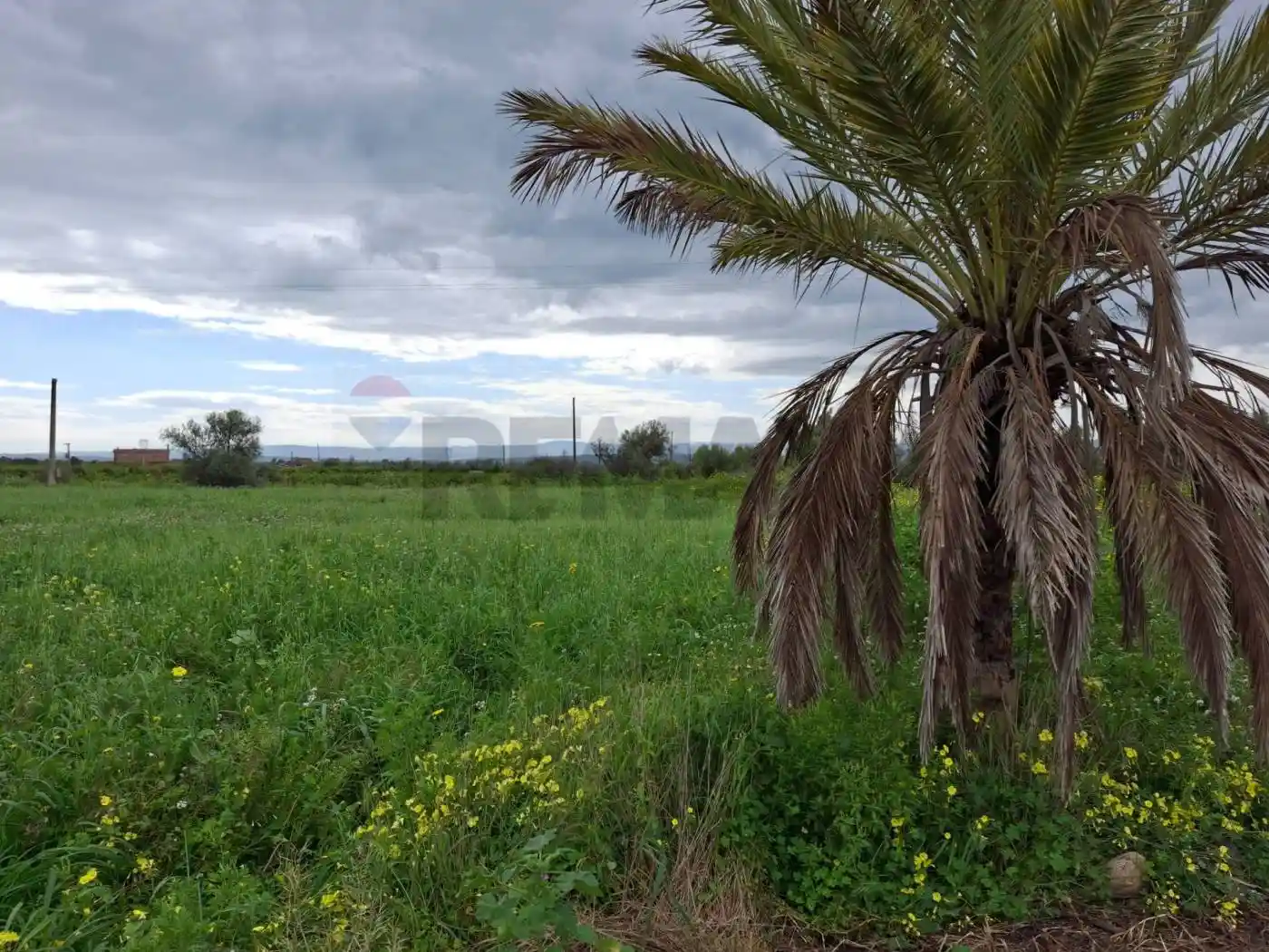 Rustico - Casale in vendita a Paternò