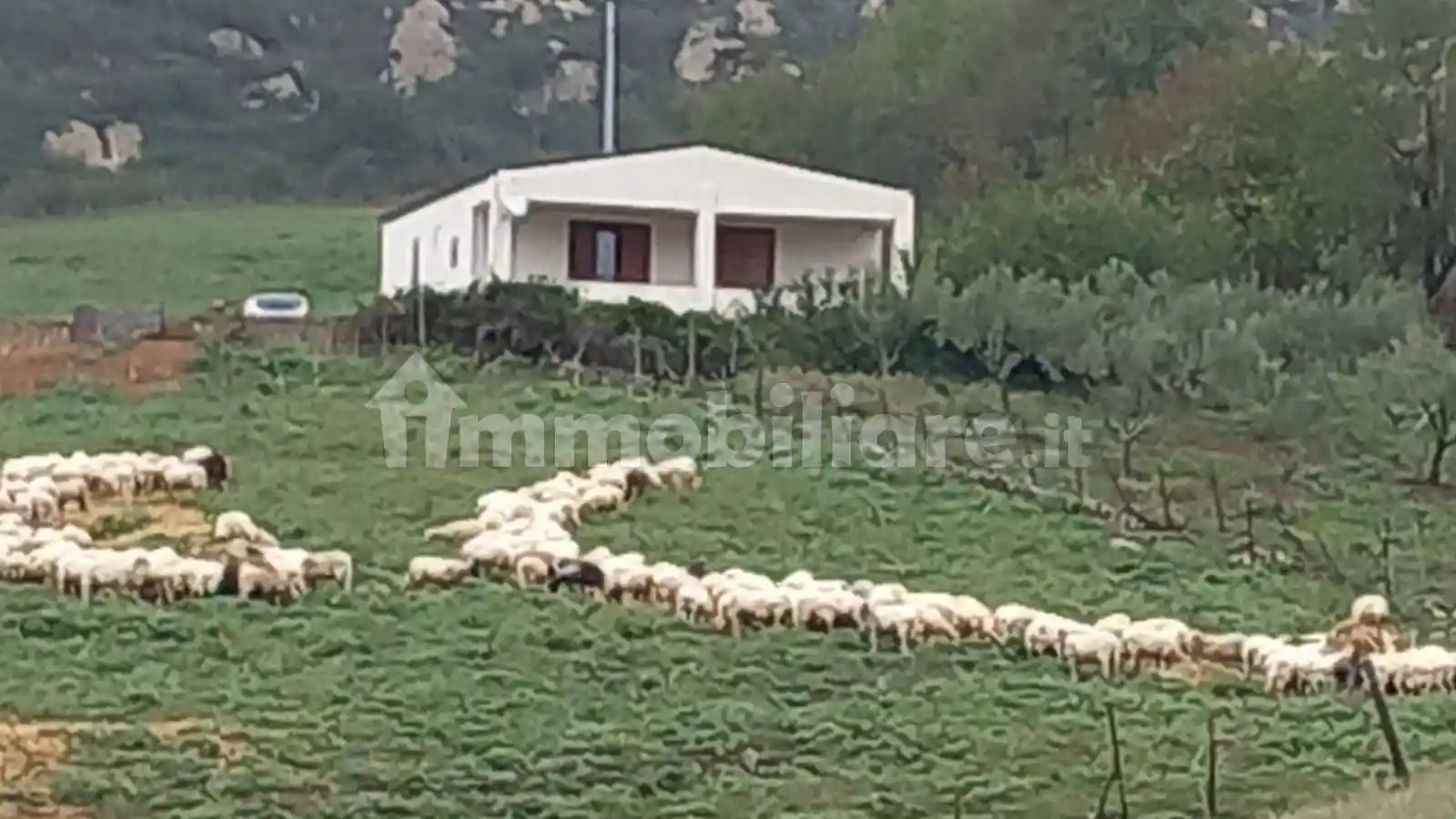 Villa in vendita a Sperlinga