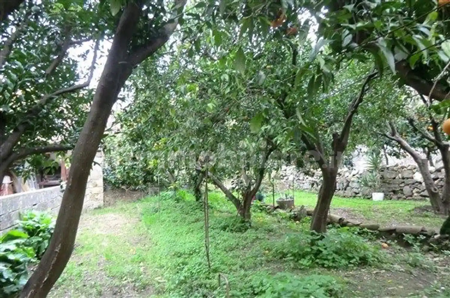 Villa in vendita a Ittiri