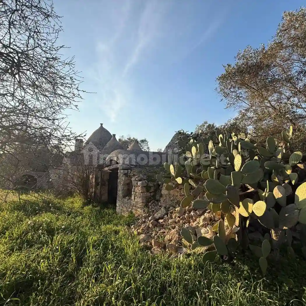 Rustico - Casale - foto 3