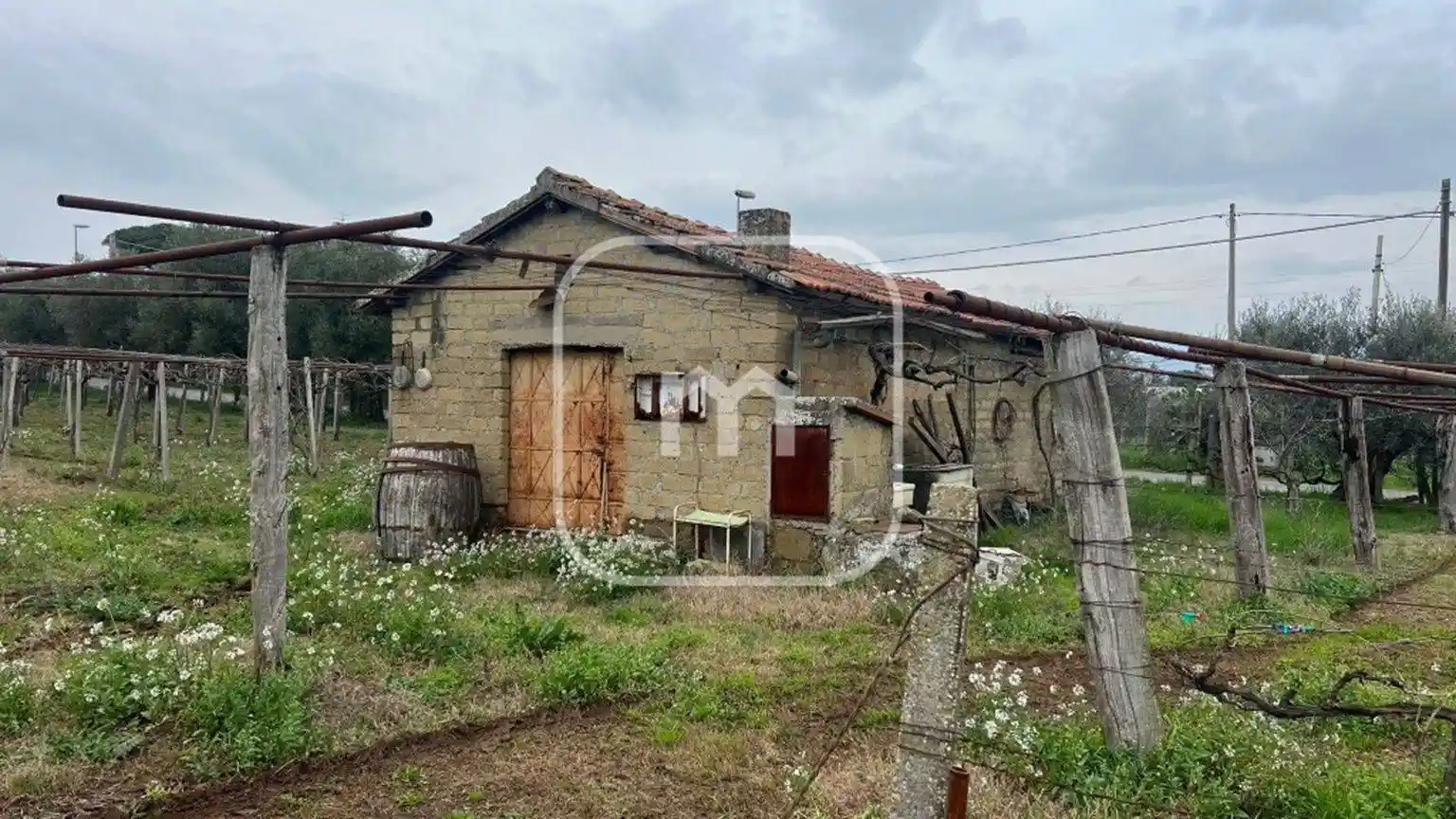 Rustico - Casale in vendita a Zagarolo