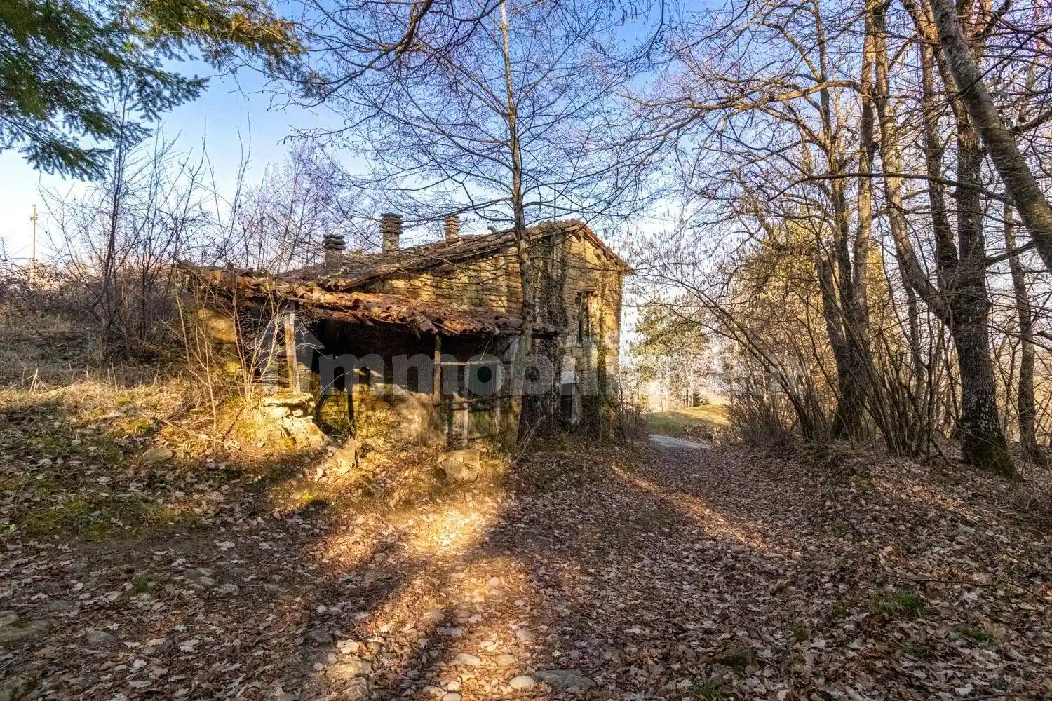 Rustico - Casale in vendita a Neviano degli Arduini