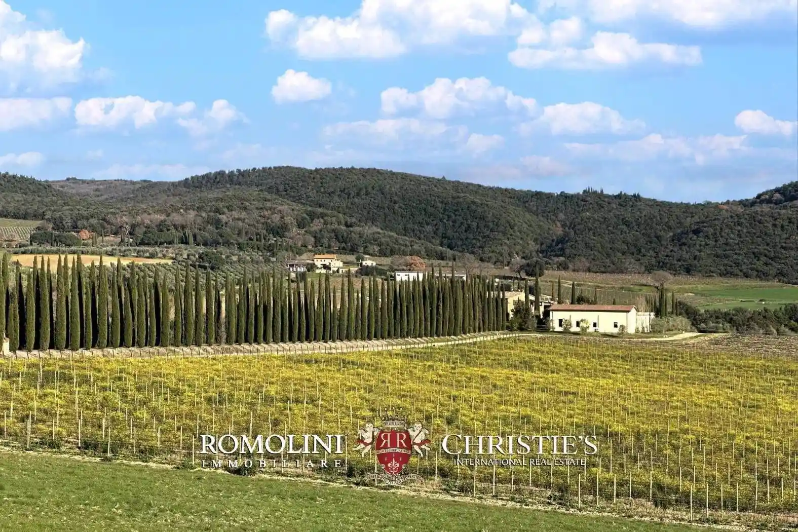 Casa indipendente in vendita a Montalcino