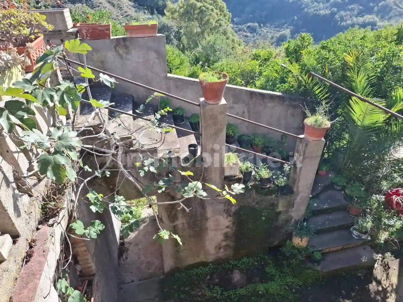 Palazzo - Edificio - foto 5