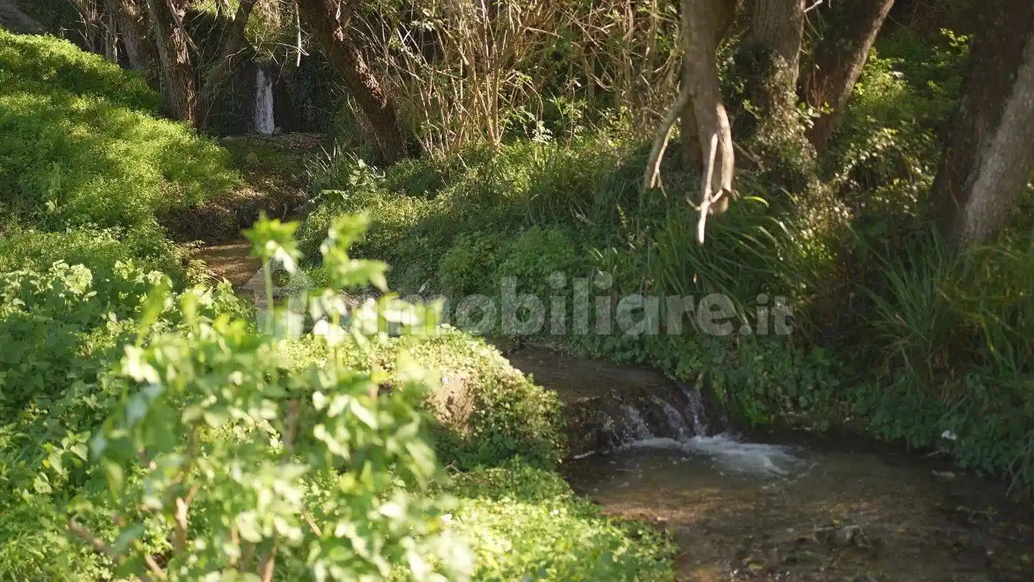 Rustico - Casale in vendita a San Lucido