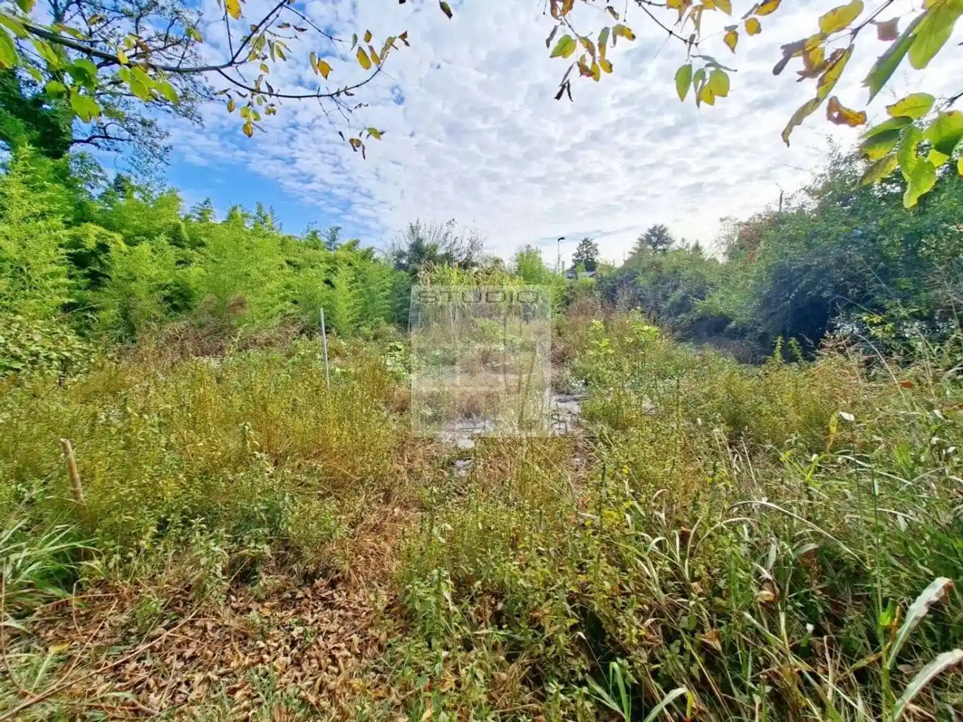 Rustico - Casale in vendita a Loreggia