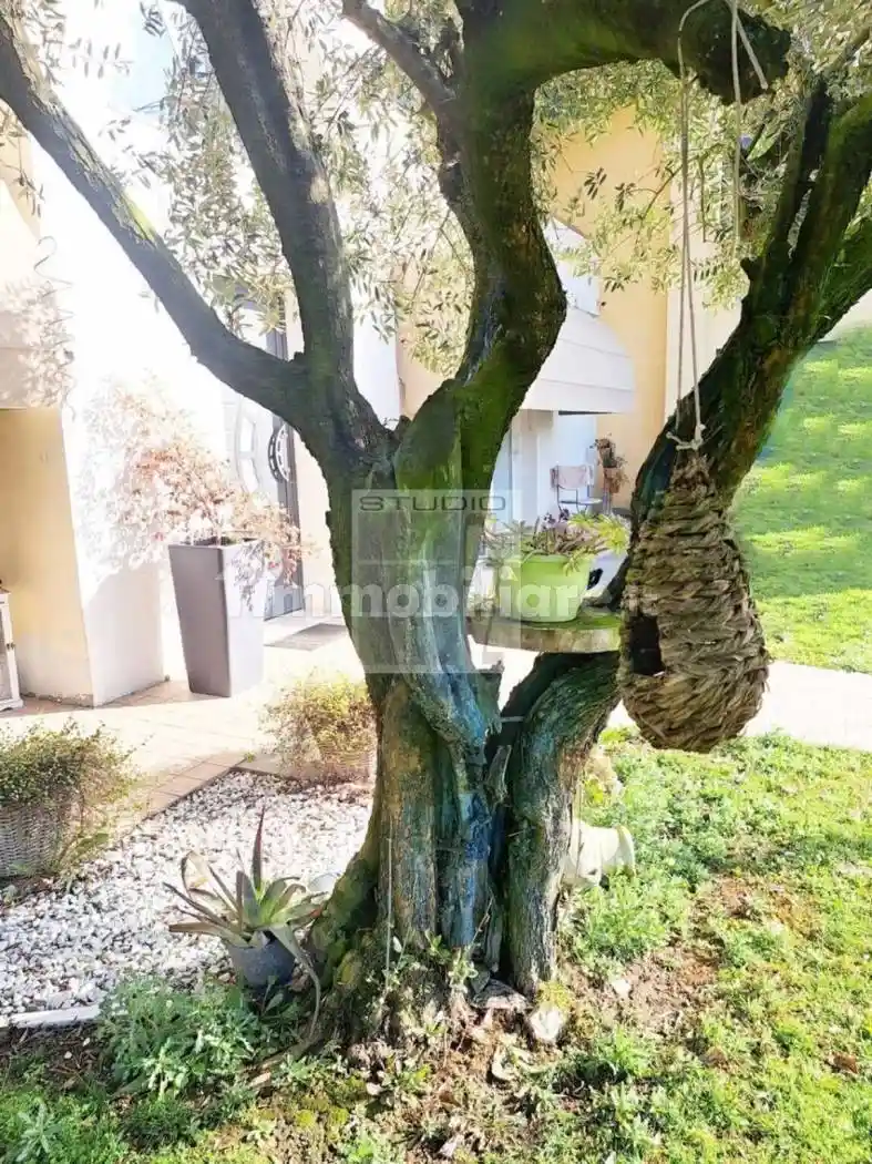 Villa in vendita a Loreggia