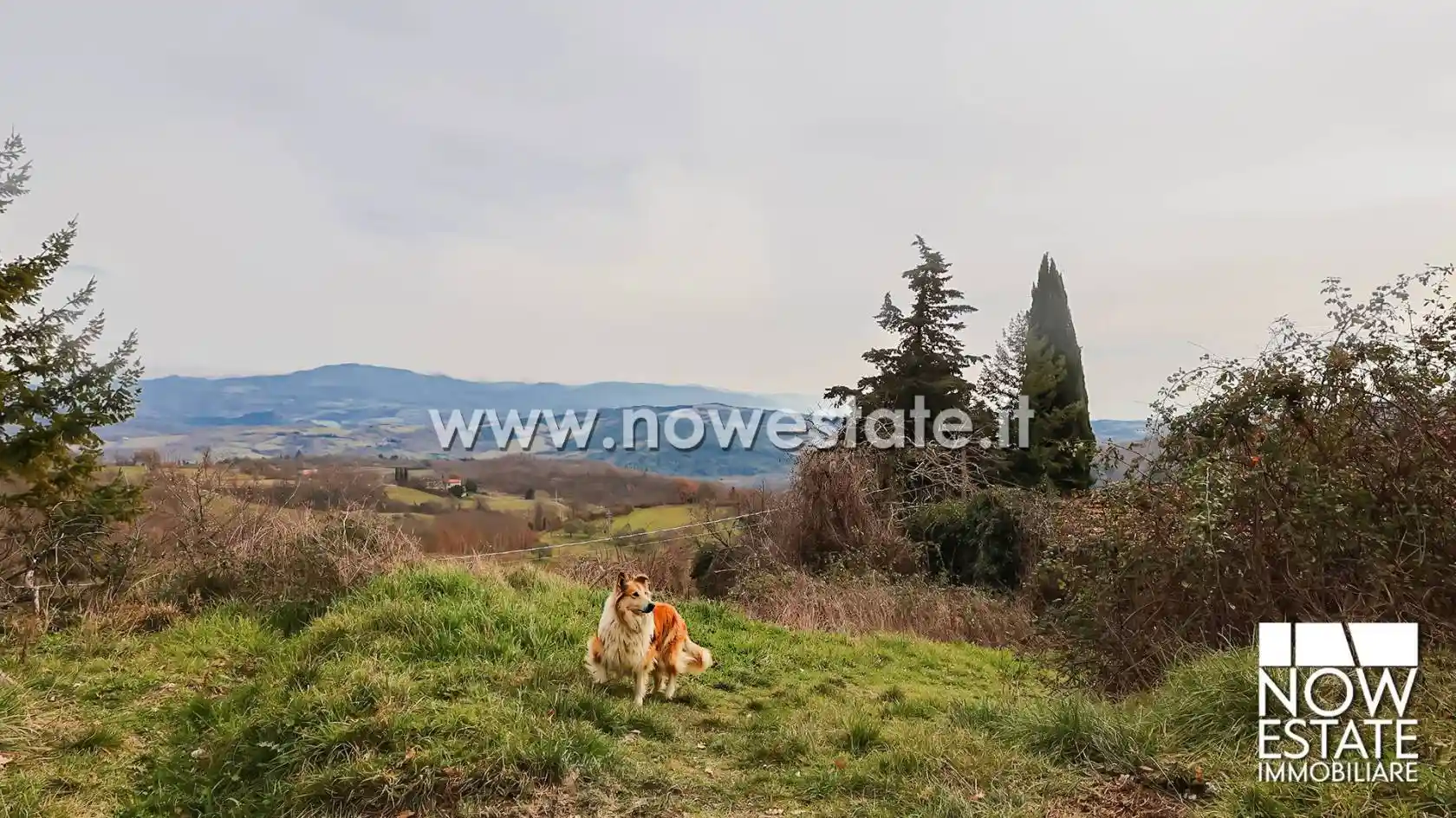 Rustico - Casale in vendita a Caprese Michelangelo