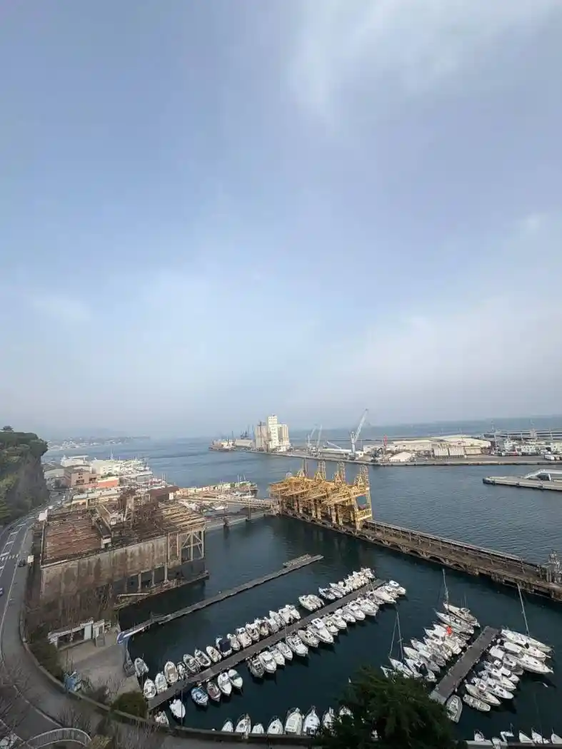 Appartamento in vendita a Savona