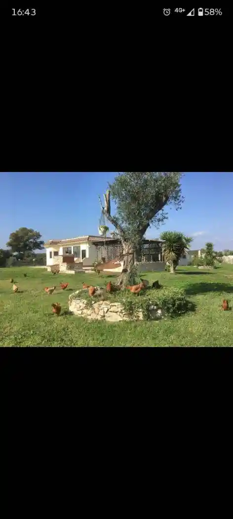 Villa in vendita a Nettuno