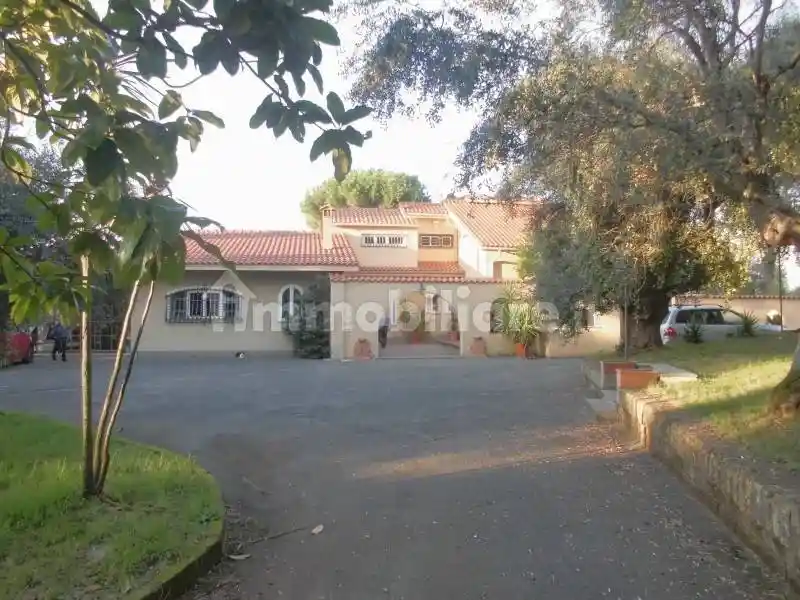 Appartamento in affitto a Grottaferrata