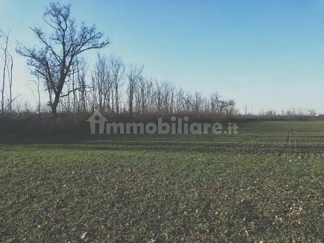 Appartamento in vendita a Dairago