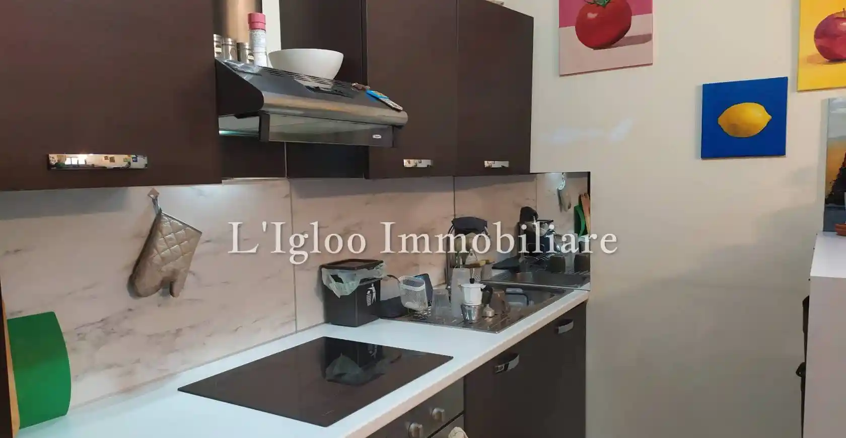 Appartamento in affitto a Trieste