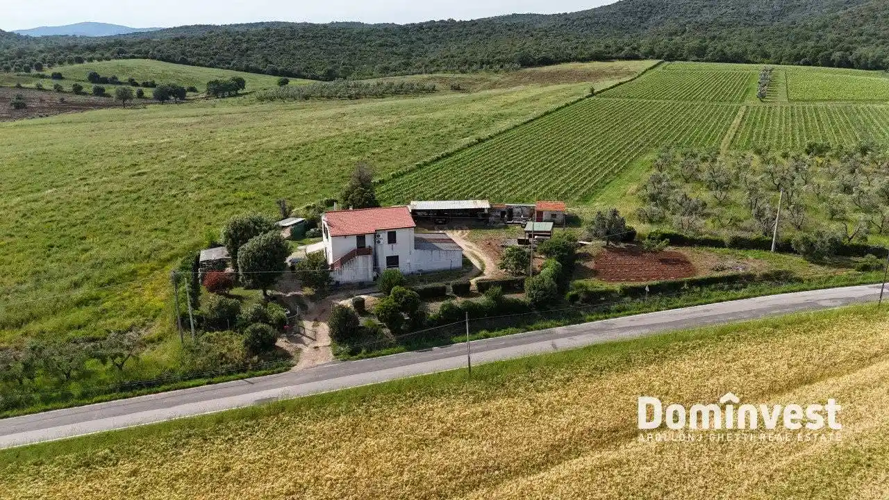 Rustico - Casale in vendita a Capalbio