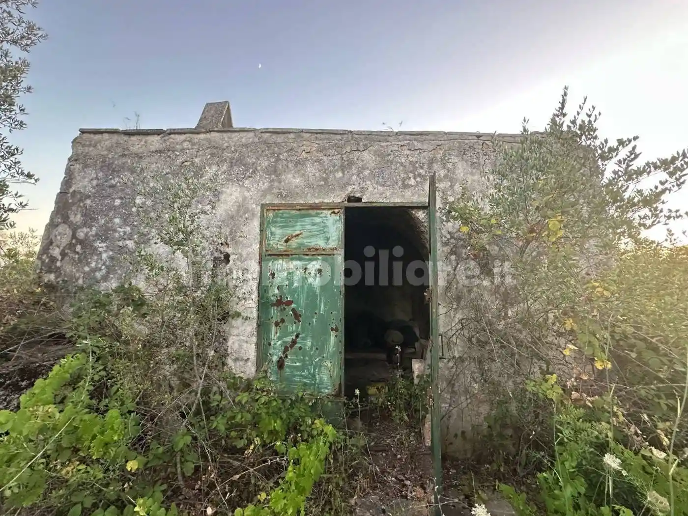 Villa in vendita a Ostuni