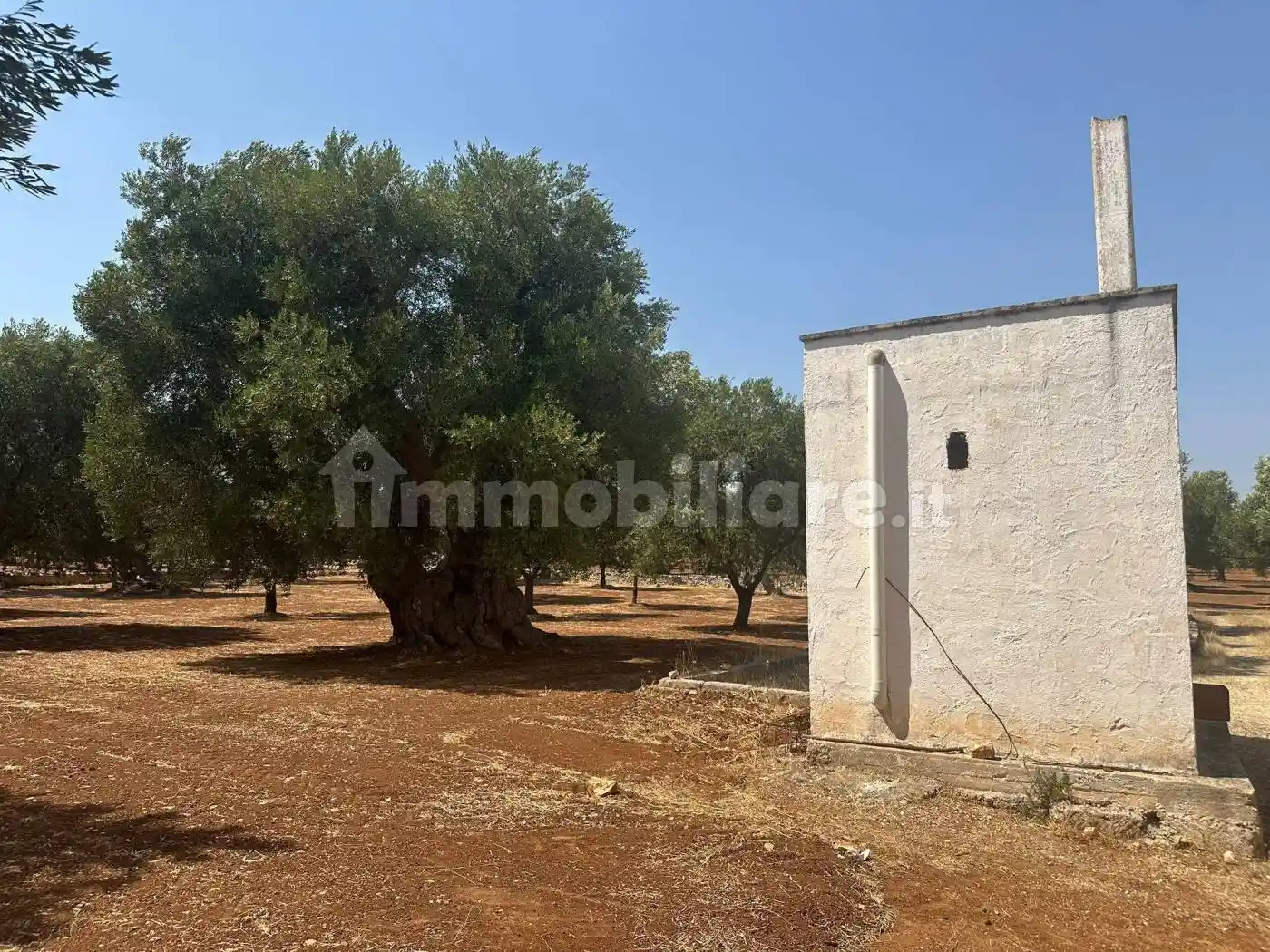 Villa in vendita a Ostuni