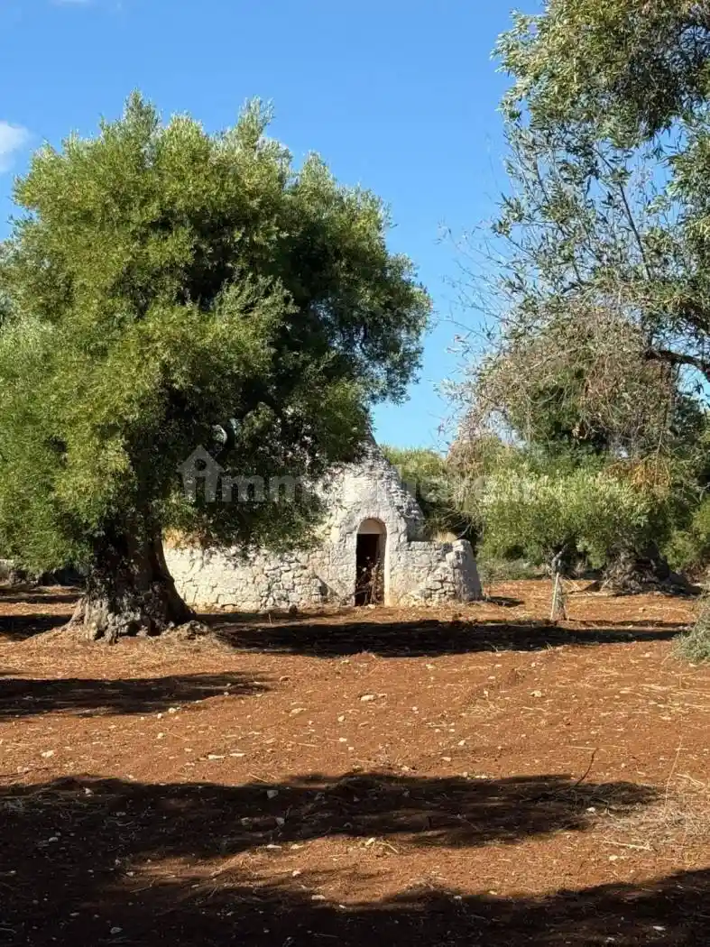 Villa in vendita a Ostuni
