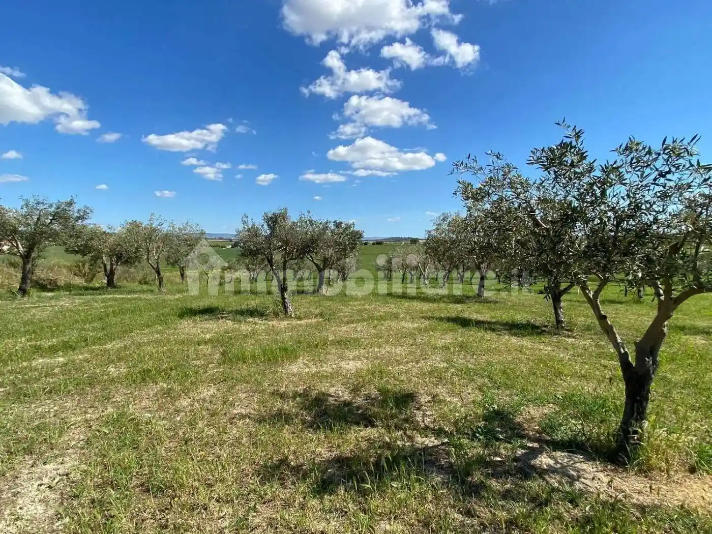 Rustico - Casale in vendita a Ispica