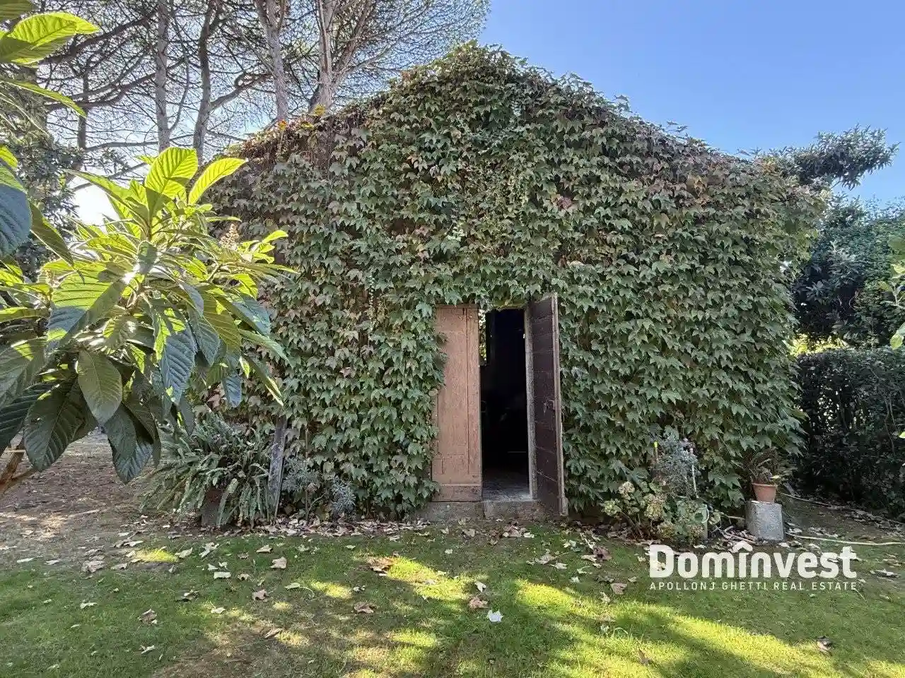 Palazzo - Edificio - foto 5