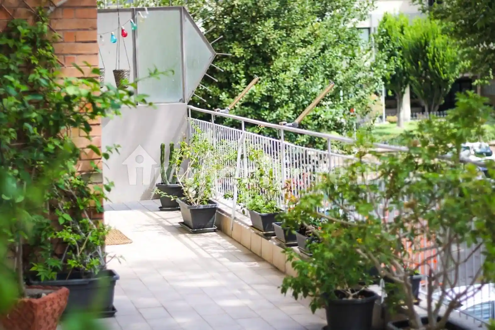 Appartamento in affitto a Roma