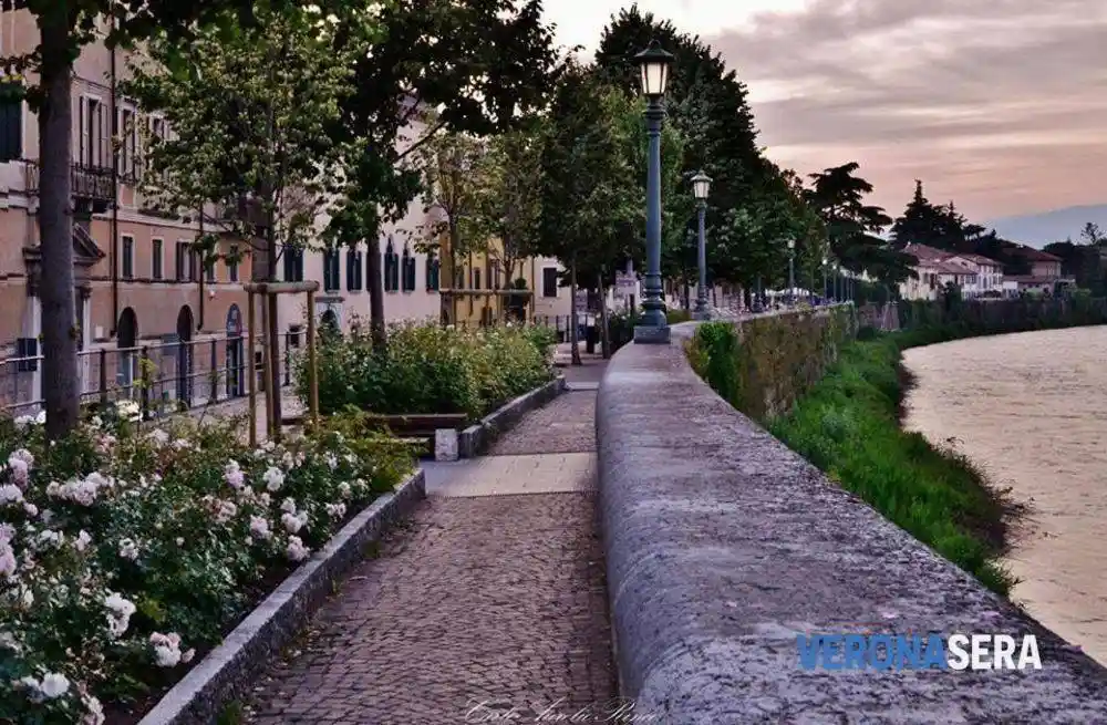 Appartamento in vendita a Verona