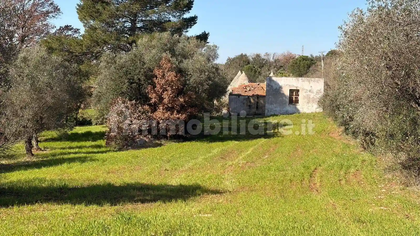 Rustico - Casale - foto 3